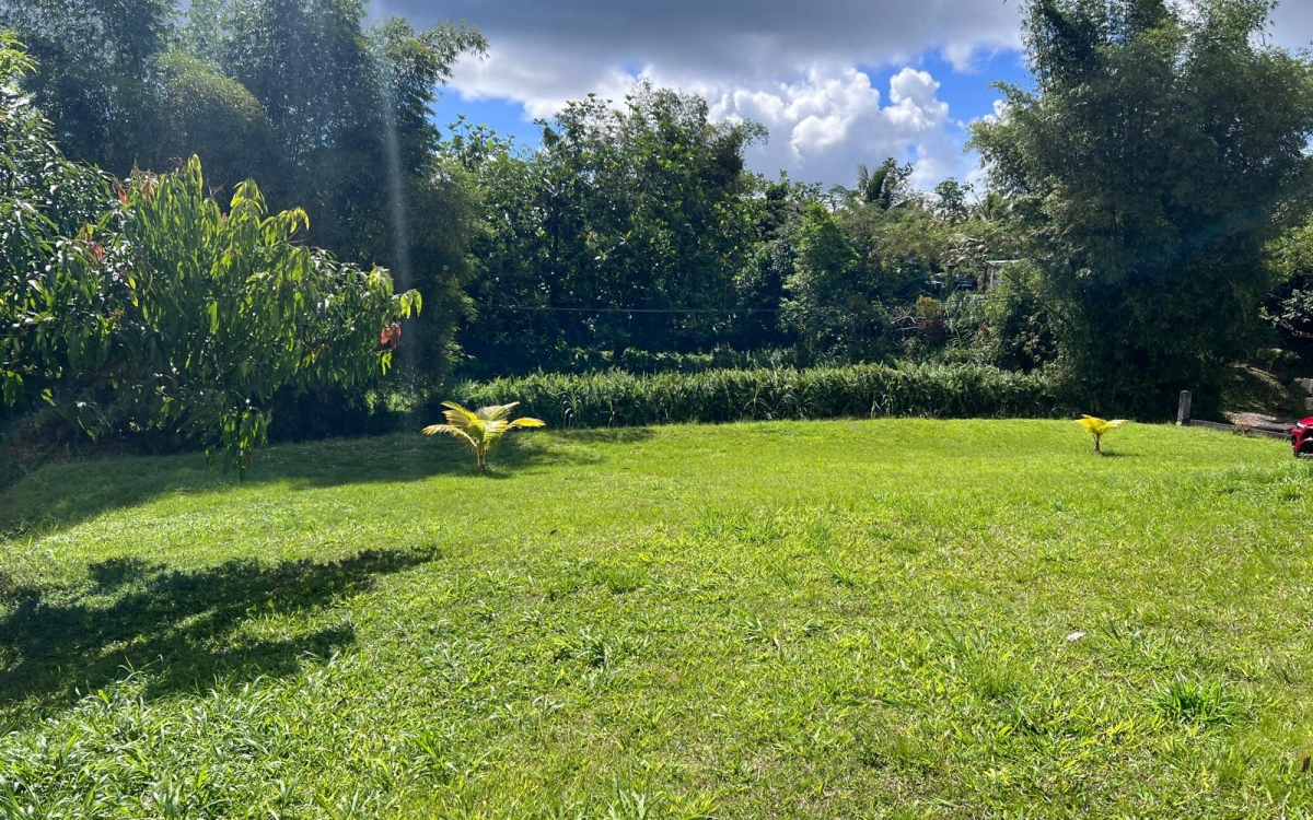 Le Gros-Morne Terrain 4 435 m&sup2; 472 500 &euro; FAI