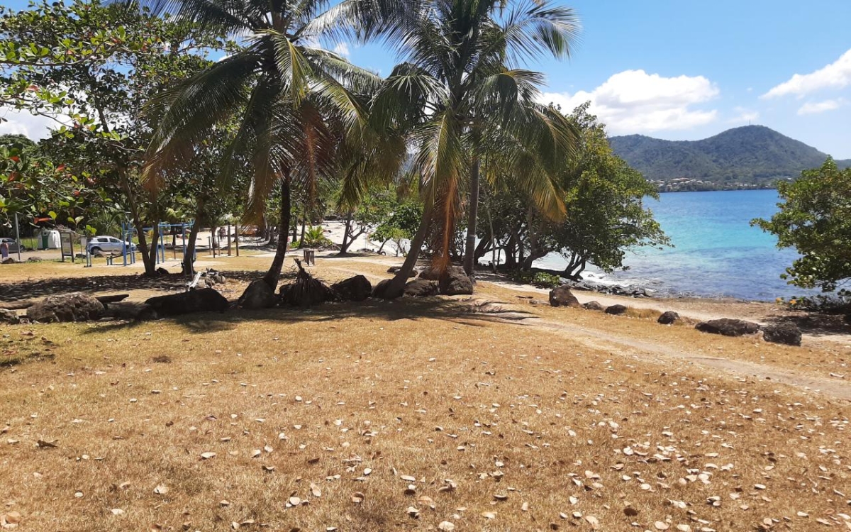 Sainte-Luce T2 r&eacute;nov&eacute; &agrave; 1 min de la plage - 268 K&euro;