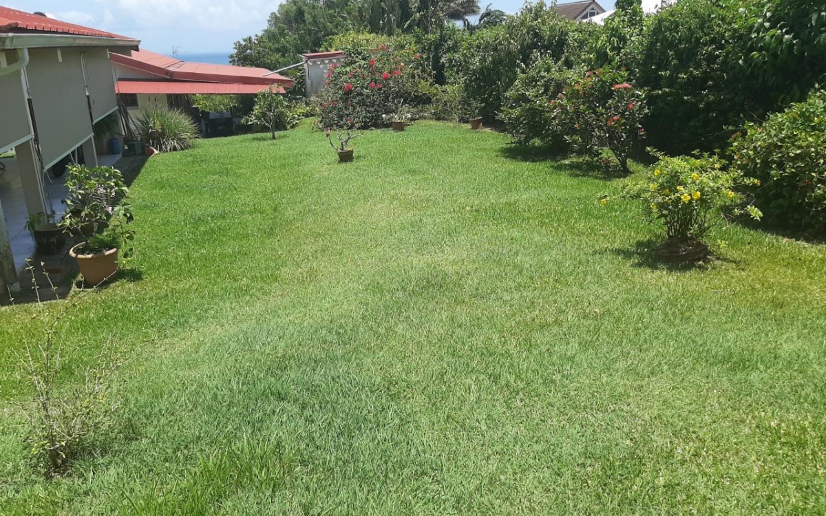 Rivi&egrave;re-Sal&eacute;e Maison T6 avec terrasse et jardin 359 000 &euro; FA