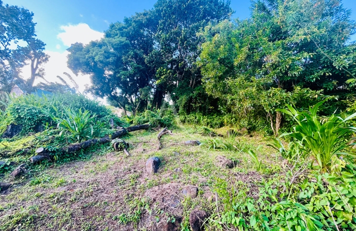 Vente Terrain 864m&sup2; Sainte Luce