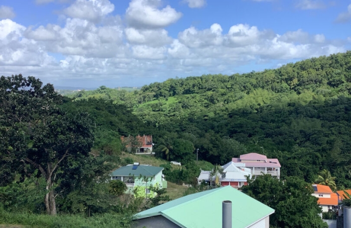 Location Appartement 100m&sup2; 4 pi&egrave;ces Rivi&egrave;re Sal&eacute;e