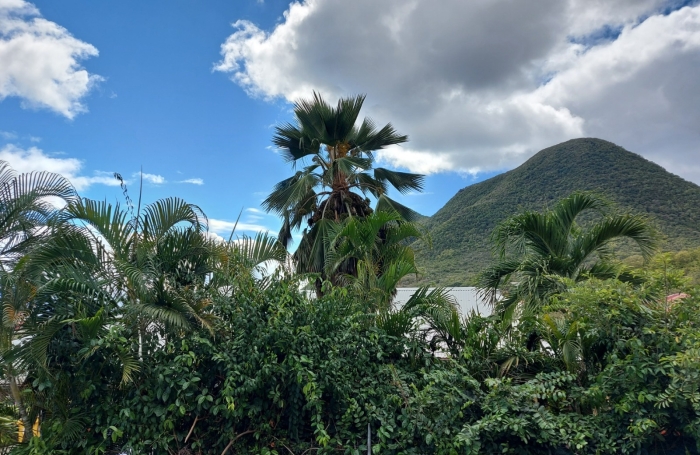 Location Appartement 97223