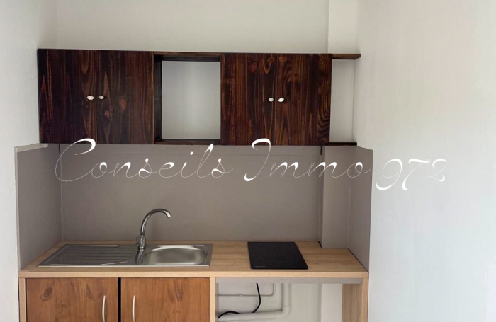 Studio &agrave; louer   Fort-de-France (Chateaub&oelig;uf)   20 m2   Balcon