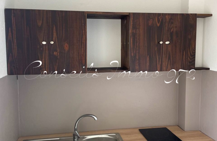 Studio &agrave; louer   Fort-de-France (Chateaub&oelig;uf)   20 m2   Balcon