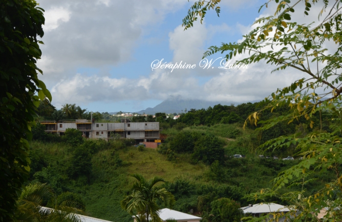 Vente Terrain 800m&sup2; La Trinit&eacute;