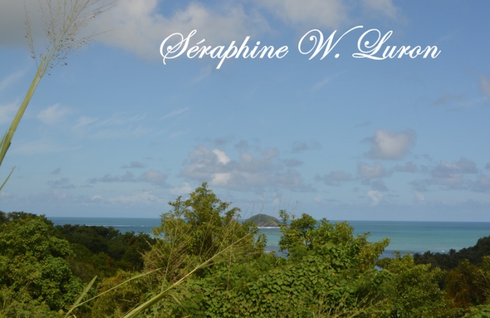 Vente Terrain 800m&sup2; La Trinit&eacute;