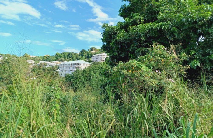 Vente Terrain 800m&sup2; La Trinit&eacute;