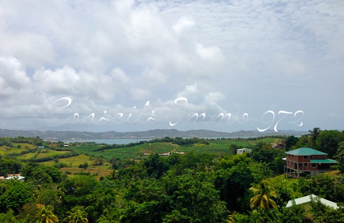 Location Maison 97240