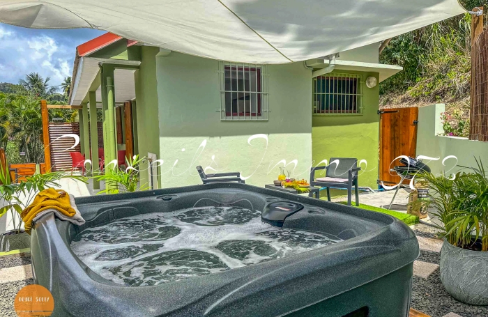 Coup de c&oelig;ur F3   Cl&eacute; en main & Jacuzzi &agrave; Rivi&egrave;re-Pilote