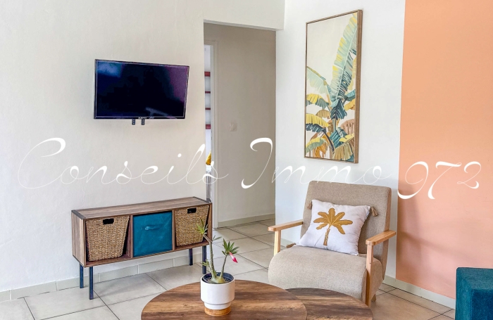 Coup de c&oelig;ur F3   Cl&eacute; en main & Jacuzzi &agrave; Rivi&egrave;re-Pilote