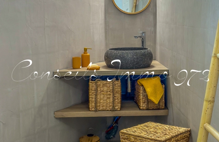 Coup de c&oelig;ur F3   Cl&eacute; en main & Jacuzzi &agrave; Rivi&egrave;re-Pilote