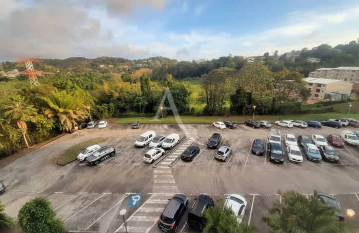 Location Appartement 43.15m&sup2; 2 pi&egrave;ces Ducos