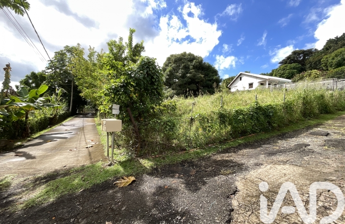 Vente Terrain 97224