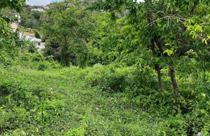 Vente Terrain 983m&sup2; Le Robert