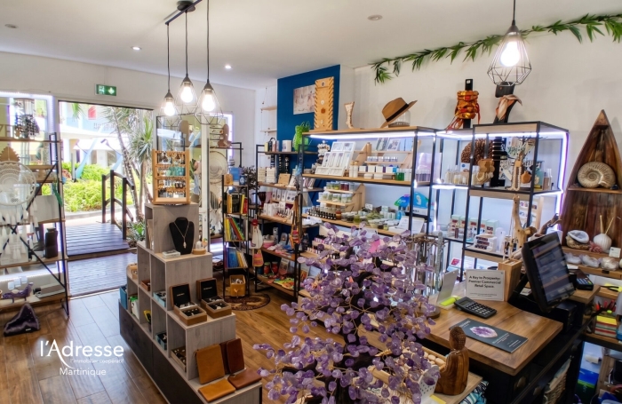 Vente Fonds de commerce 
