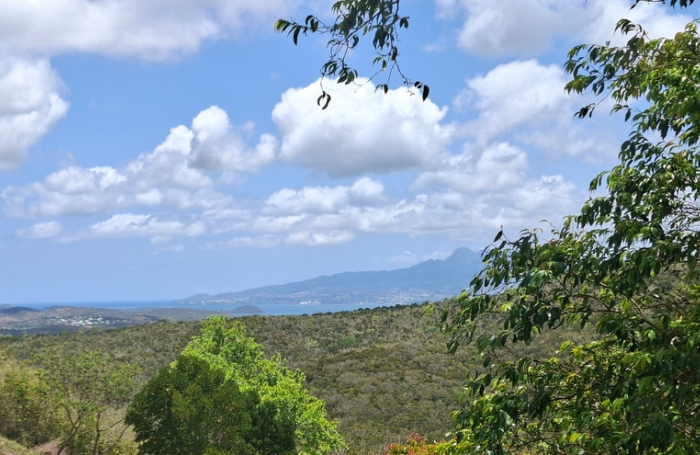 Vente Terrain 97228