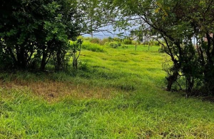 Vente Terrain 97290