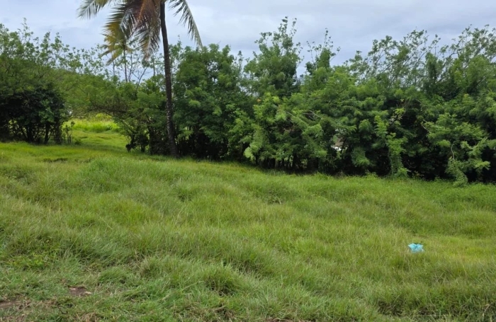 Vente Terrain 921m&sup2; Le Marin