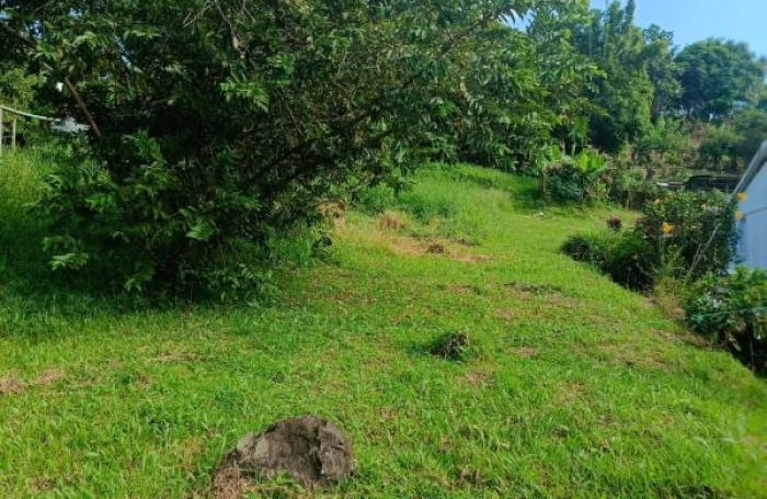 Vente Terrain 97228