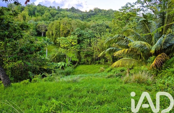Vente Terrain 97224