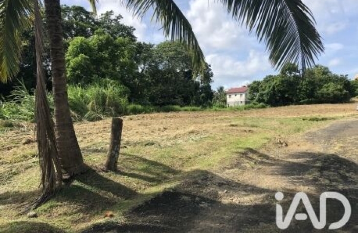 Vente Terrain 1992m&sup2; Le Lamentin