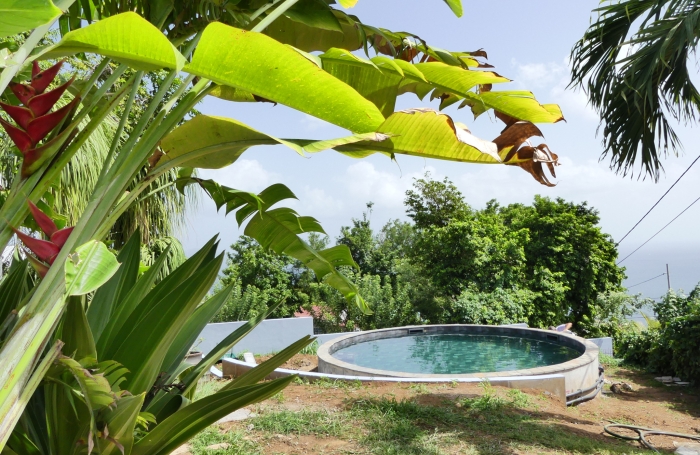 Location Maison 97233