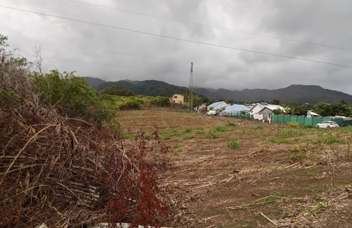 Vente Terrain 97490