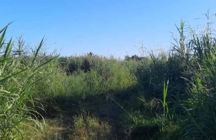 Vente Terrain 97440