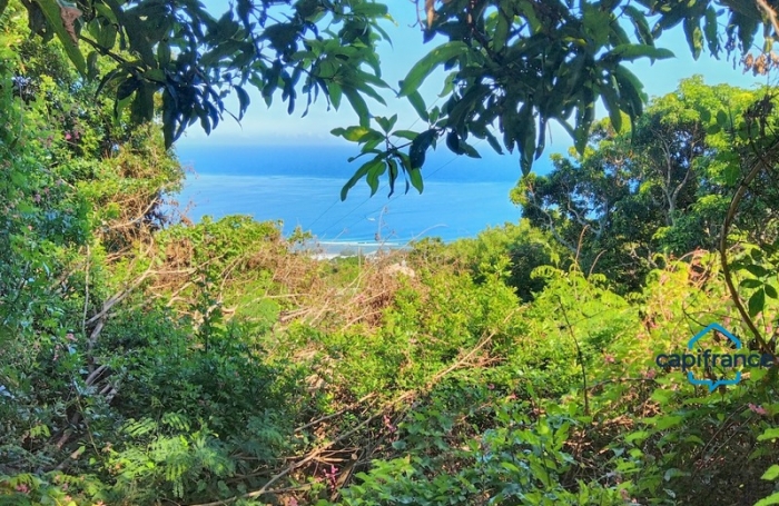 Vente Terrain 3470m&sup2; Saint-Leu