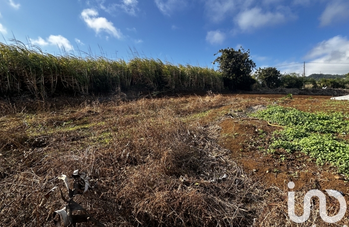 Vente Terrain 1100m&sup2; Petite île