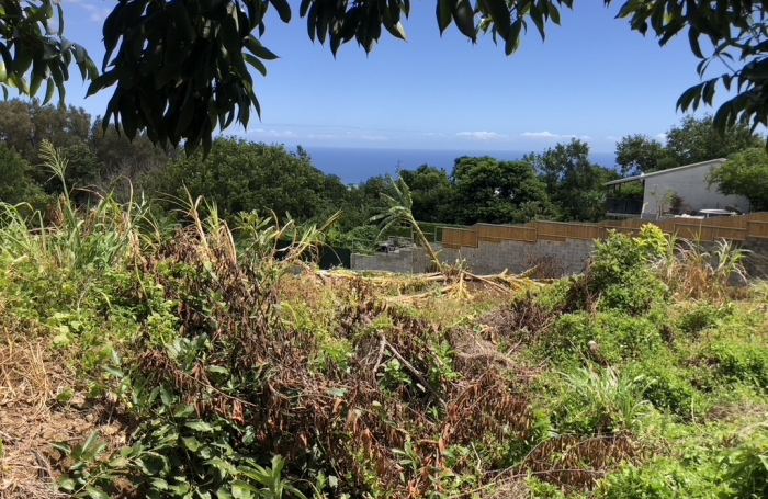 Vente Terrain 97490