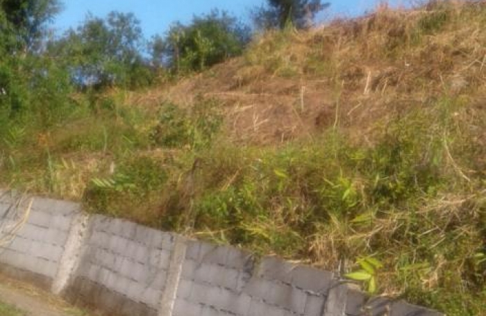 Vente Terrain 97438