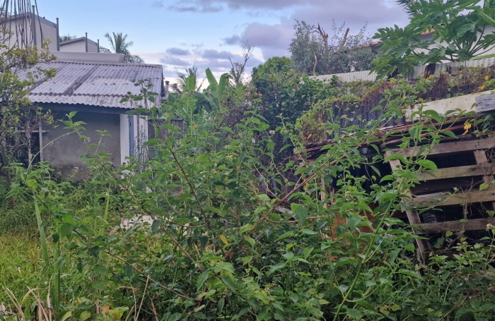 Vente Maison 73m&sup2; 3 pi&#232;ces Sainte Anne