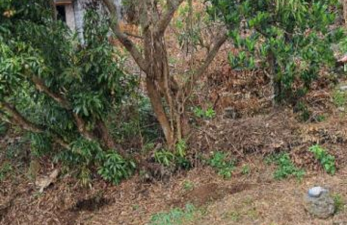 Vente Terrain 97426