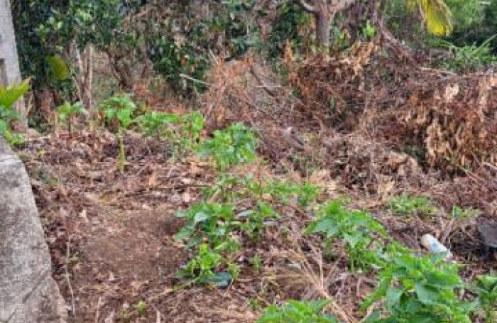 Vente Terrain 291m&sup2; Trois Bassins