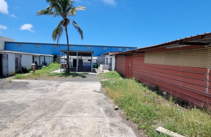Location Local commercial 97450