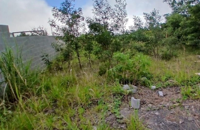Vente Terrain 97418