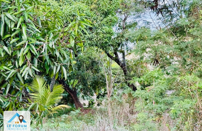 ÉTANG SALÉ (97427) - CENTRE-VILLE - RARE OPPORTUNITÉ