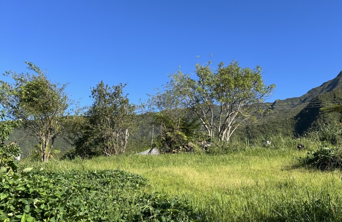 Vente Terrain 97421