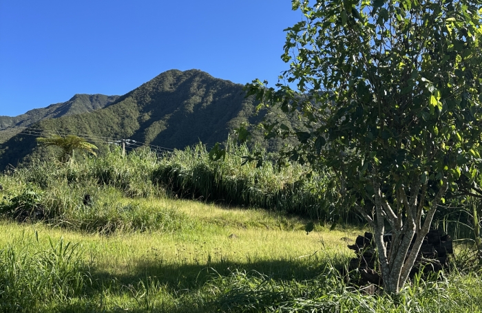 Vente Terrain 509m&sup2; Rivière Saint Louis