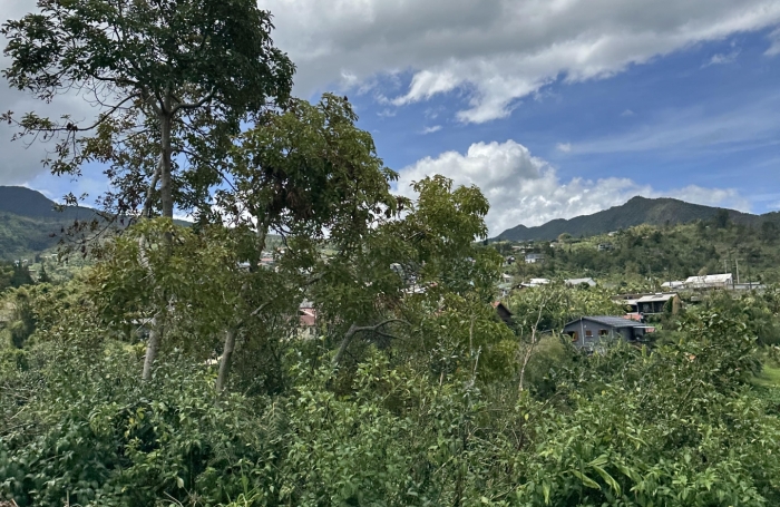 Vente Terrain 471m&sup2; Rivière Saint Louis