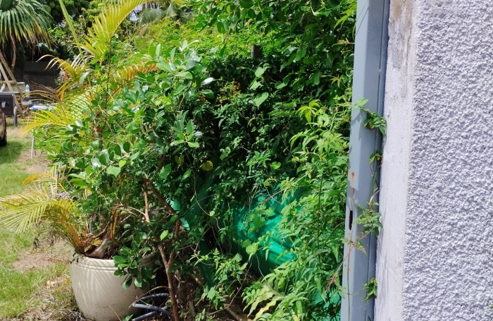 Vente Maison 90m&sup2; 4 pi&#232;ces Petite île