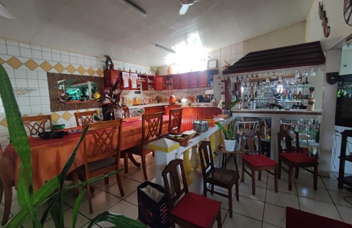 Vente Immeuble 430m&sup2; 6 pièces Rivi&egrave;re Saint Louis