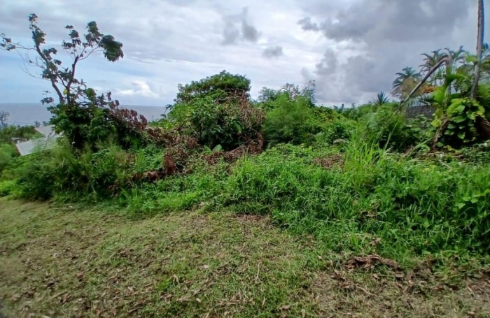 Vente Terrain 97442