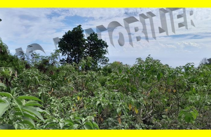 Vente Terrain 