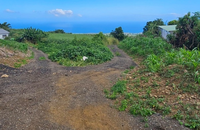 Vente Terrain 97435