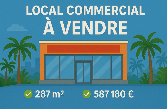 Vente Local commercial 