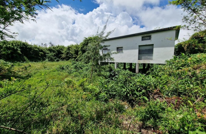 Vente Maison 97431