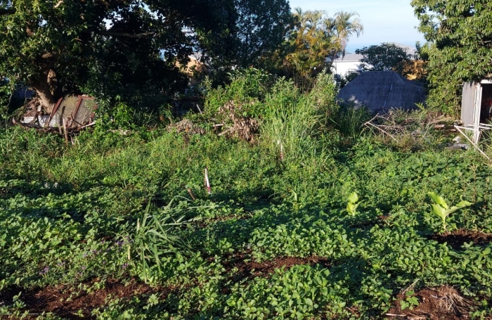 Vente Terrain 370m&sup2; Le Guillaume