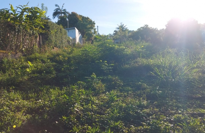 Vente Terrain 370m&sup2; Le Guillaume